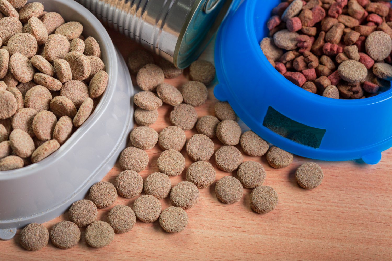 best pet food