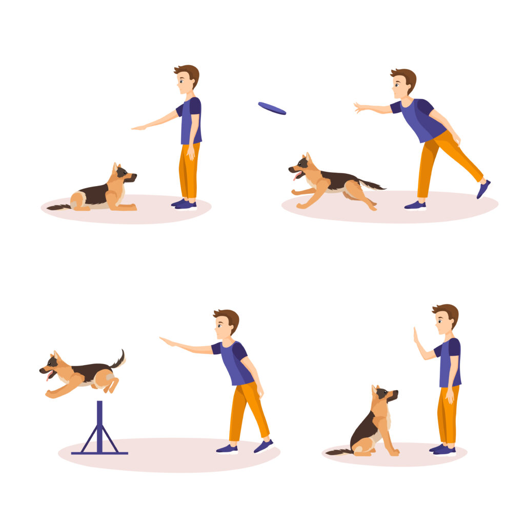 dog exercises